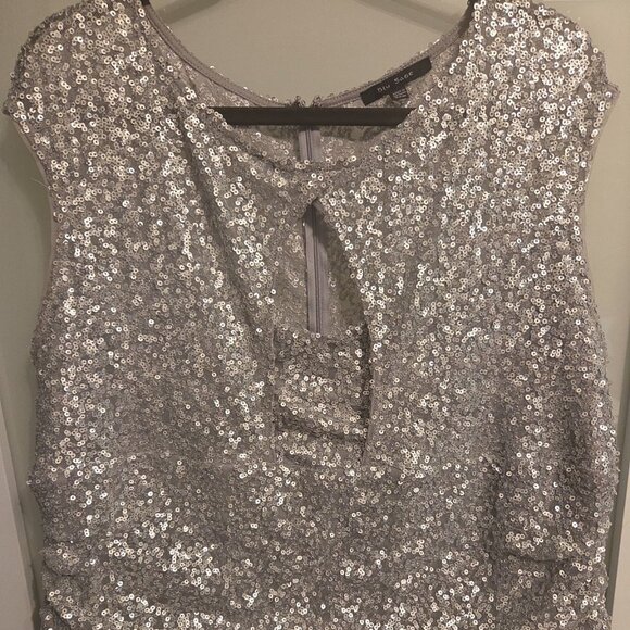 Blu Sage Silver Sequin Holiday/Evening Dress (Plus Size 22W) - Picture 2 of 3
